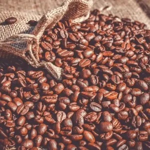 Kopi Arabika Gayo
